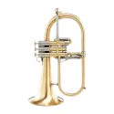 Flugelhorn Adams F2 Modelo selecionado Latão dourado escovado - Sanganxa.com