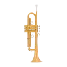 TROMPETA B&S MBX3 HERITAGE BRUSHED GOLD