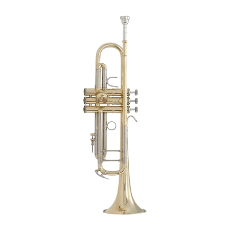 TROMPETA BACH 180ML 43/25  LACADA EN SIB -1