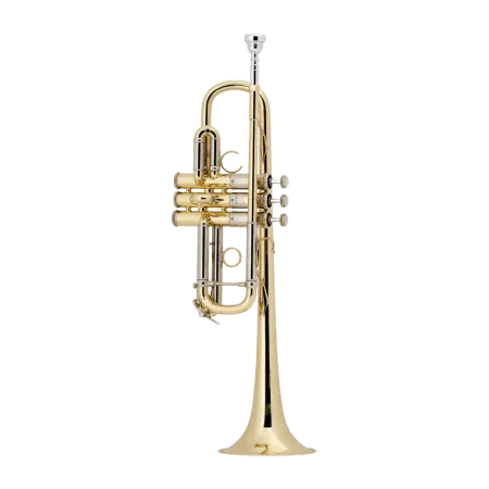 TROMPETA BACH AC190 L ARTISAN EN DO LACADA Bach - 2