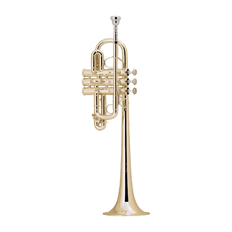 TROMPETA BACH 189L 239/25E LACADA EN MIB/RE -1