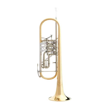 TROMPETA B&S 3005WTR-L DE CILINDROS LACADA EN SIB -1