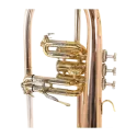 Flugelhorn Bach FH 501 L Pistões Lacados - Sanganxa.com
