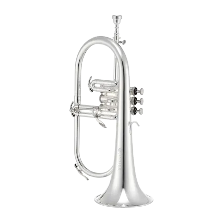 FLISCORNO JUPITER JFH 1100 RS PLATEADO EN SIB -1