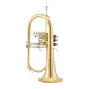 FLISCORNO JUPITER JFH 1100 RL LACADO EN SIB -1