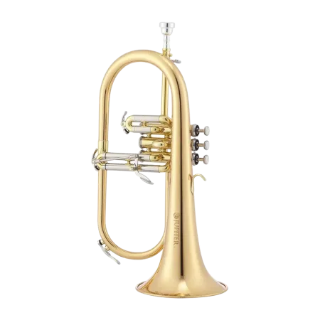 FLISCORNO JUPITER JFH 1100 RL LACADO EN SIB -1