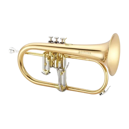 FLISCORNO JUPITER JFH 1100 RL LACADO EN SIB -3