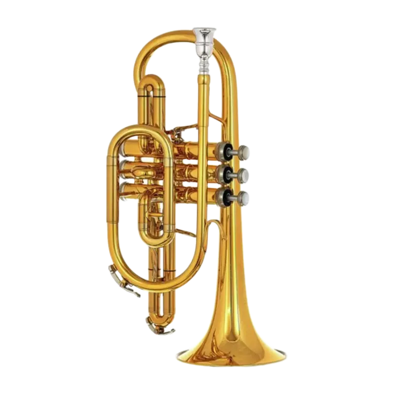 CORNETA B&S 3142/2 GL LACADO EN SIB -1