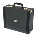 CORNETA B&S 3142/2 GL LACADO EN SIB -2