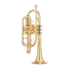 CORNET YAMAHA YCR 2310 III LACADO SIB CORNET