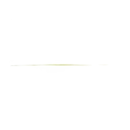 BATUTA GEWA STANDARD 45CM