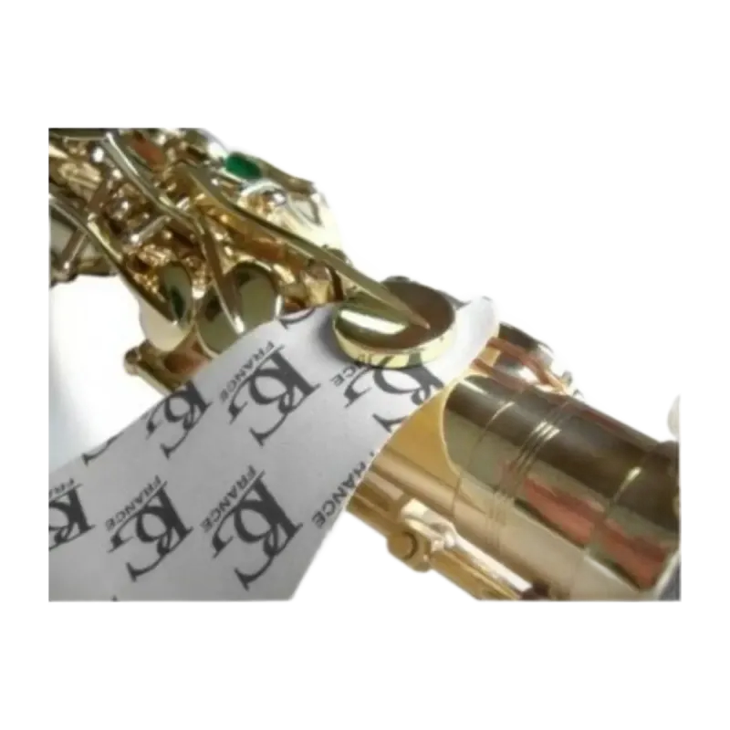 Sapatas Secadoras BG A65S Para Saxofone | Sanganxa Music Store