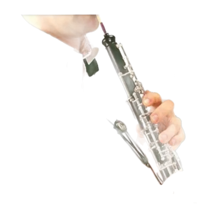 CORDON COR ANGLAIS BG O30