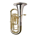 BOMBARDINO ADAMS E3 STERLING SILVER 0.60 EN SIB -1