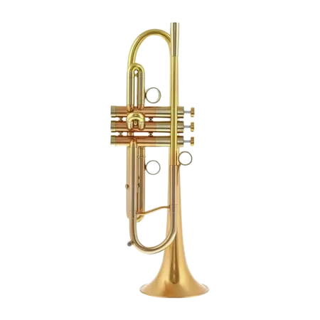 Trompete Adams A4LT custom Series 0.45 Goldbrass - Sanganxa.com