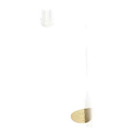 KÜHNL&HOYER BVL 547 Latão Dourado - Trombone Sanganxa.com