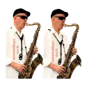 jazzlab saxholder pro arnês para saxofone para todos os modelos de saxofone -  - sanganxa.comnxa.