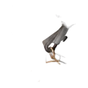arnês macio saxoneotech 2501162 regular - sanganxa music store