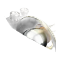 trompete protec studio mute ml203 liberty - sanganxa music store