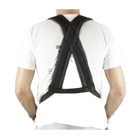PACK REPENIQUE 12 "x30CM. 8DIV TI8635