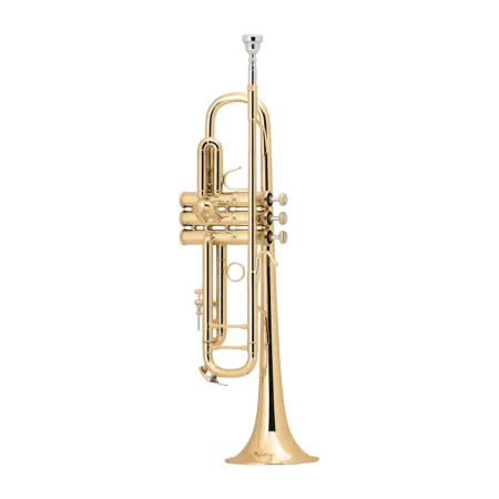 TROMPETA BACH 180GML 43/25 GOLDMESSING EN SIB - 1