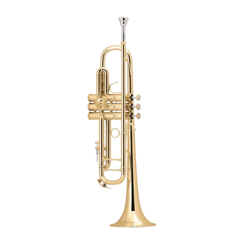 TROMPETA BACH 180GML 43/25 GOLDMESSING EN SIB - 1