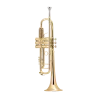 TROMPETA BACH 180GML 43/25 GOLDMESSING