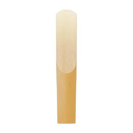 Palheta para clarinete D'addario Organic Evolution - Sanganxa.com