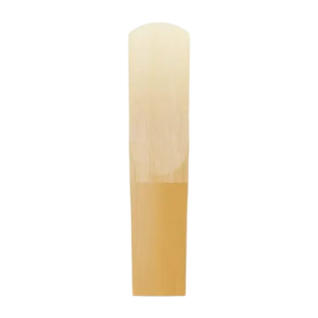Palheta para Saxofone Alto D'addario Organic Select Jazz Filed - D'addario Palheta para Saxofone Alto - D'addario Organic Select