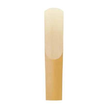 D'addario Organic Select Jazz Unfiled - Palheta para Saxofone Barítono Sanganxa.com