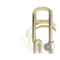 Tuba En Fa B&S PT9 3100 Lacado - Sanganxa.com