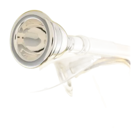 Tuba em Fá B&S PT-10 Perantucci 3099/2W Lacado - Sanganxa.com
