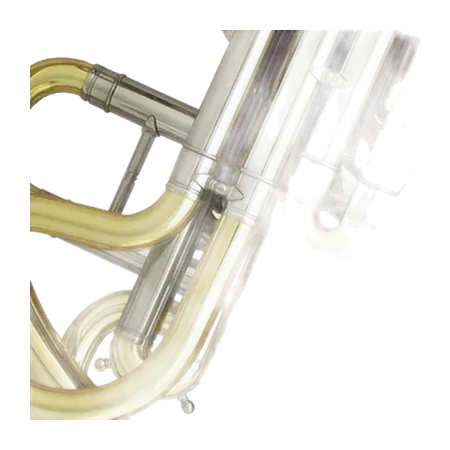 Trompa tripla Hans Hoyer C23 Lacado - Sanganxa.com