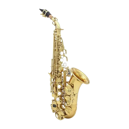 Saxofone Soprano GARA GSSC120L - Curvo - Saxofone Soprano GARA GSSC120L Sanganxa.com