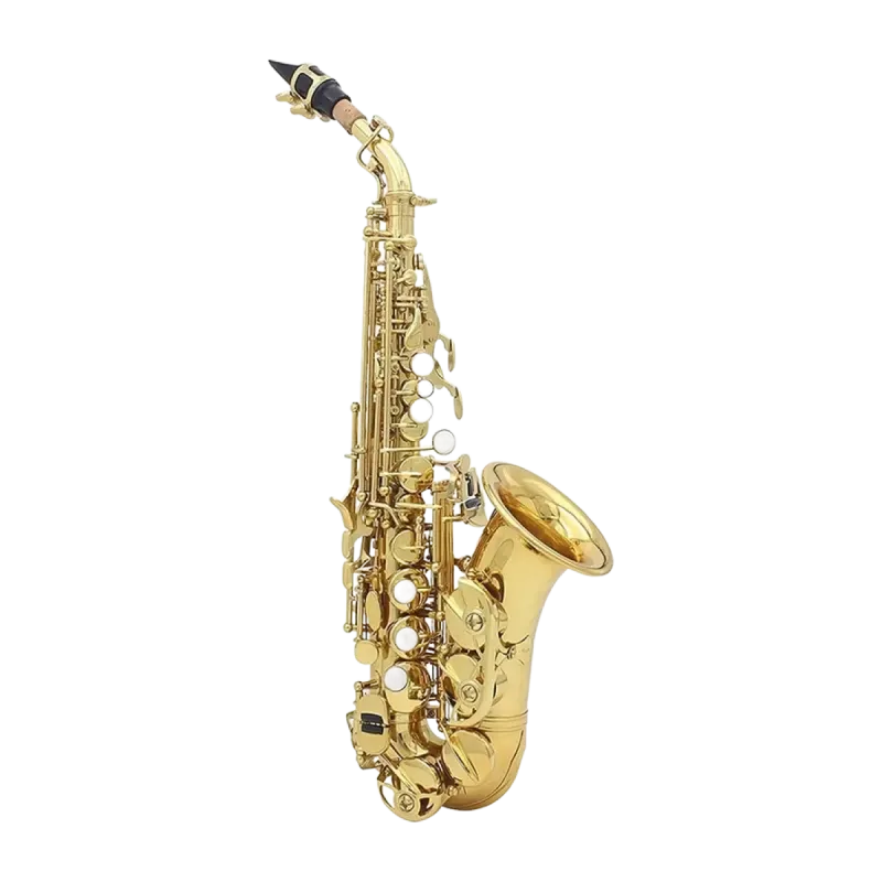 Saxofone Soprano GARA GSSC120L - Curvo - Saxofone Soprano GARA GSSC120L Sanganxa.com