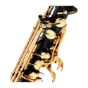 Saxofone Alto Yamaha YAS-82ZB Preto Lacado - Sanganxa.com