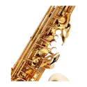 Saxofone Alto Yamaha YAS-82ZUL Não lacado - Sanganxa.com