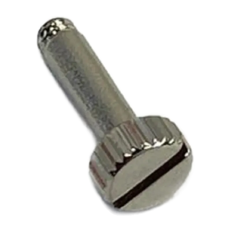 Tornillo YAMAHA Llave Desagüe Trompa E2641190 - sanganxa.com