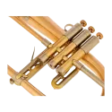 Flugelhorn Adams F2 Goldmessing Satin Lacquer - Sanganxa.com