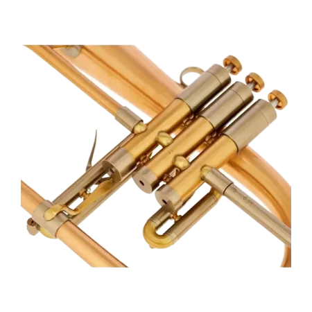 Flugelhorn Adams F2 Goldmessing Satin Lacquer - Sanganxa.com