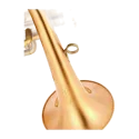 Flugelhorn Adams F2 Goldmessing Satin Lacquer - Sanganxa.com