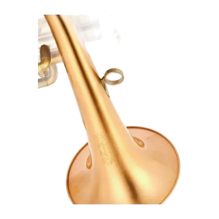 Flugelhorn Adams F2 Goldmessing Satin Lacquer - Sanganxa.com