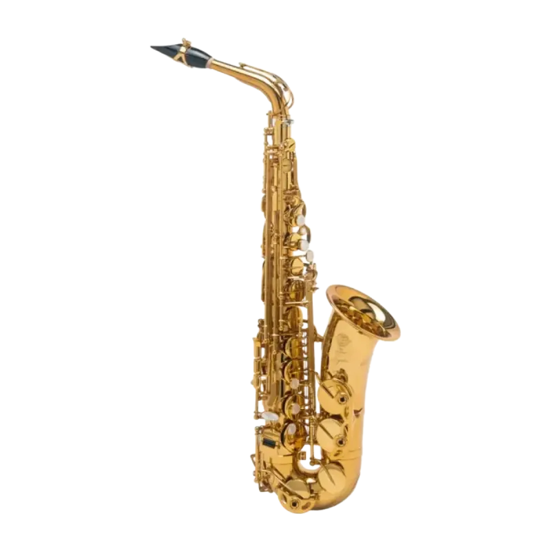 Saxo Alto Selmer Signature