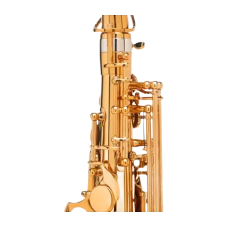 Saxo Alto Selmer Signature Lacado - Sanganxa.com