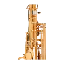 Saxofone Tenor Selmer Signature Lacado - Sanganxa.com