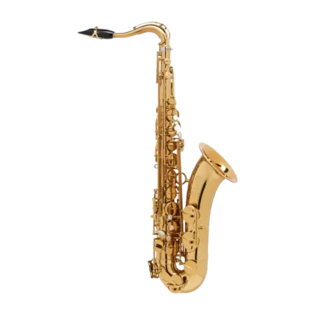 Saxo Tenor Selmer Signature