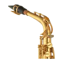 Saxofone Alto Yamaha YAS-875EX - Sanganxa - Shokunin Select Yamaha