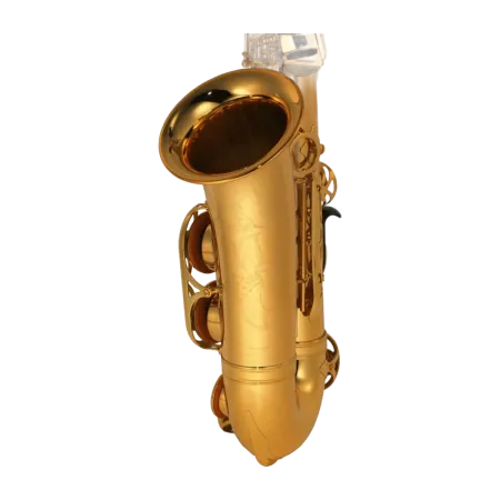 Saxofone Alto Yamaha YAS-875EX - Sanganxa - Shokunin Select Yamaha