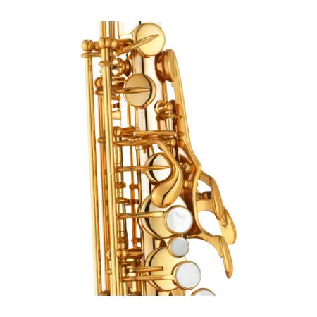 Saxofone Alto Yamaha YAS-875EX - Sanganxa - Shokunin Select Yamaha
