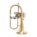 Flugelhorn Adams F2 Custom Series Goldbrass Antique -Sanganxa.com